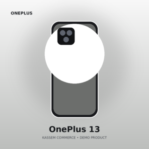 OnePlus 13